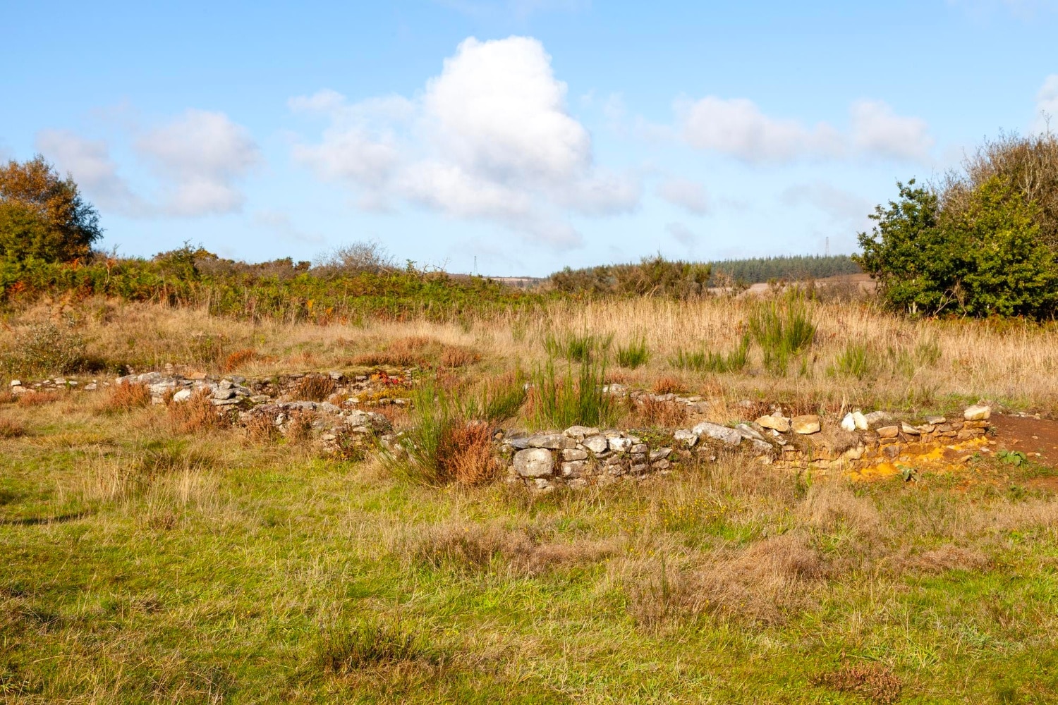 fincas rústicas en venta Santanyí Mallorca
